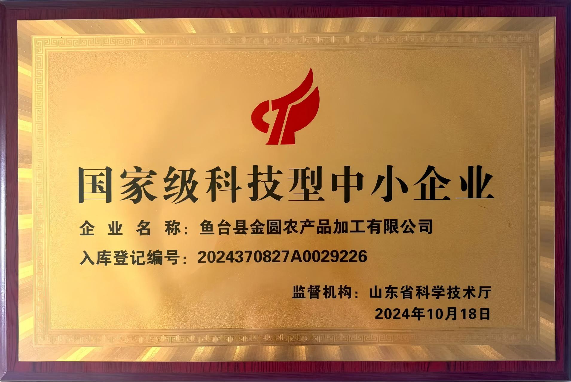 国家级科技型中小企业