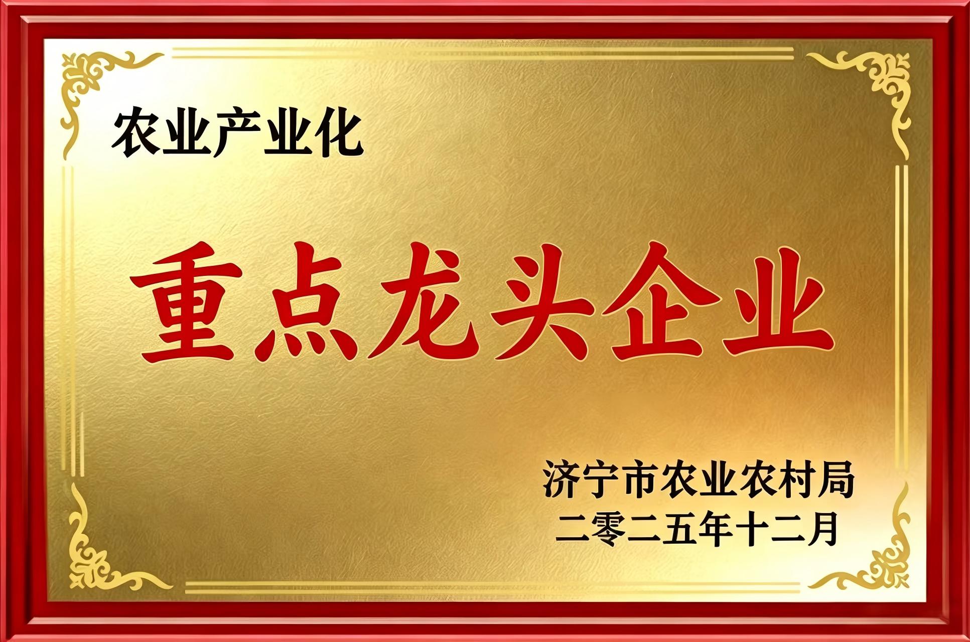 重点龙头企业